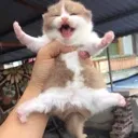 STOOOOOOOOP