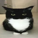 bigboobsstare