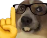 nerddoggo nerddoggo