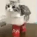 sodaaaa