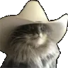 meowdy