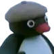 pingu_french Discord emoji