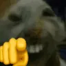 LMAODD