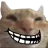 catto