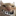 :catto: