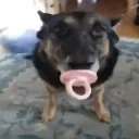 m_perrochupetin m_perrochupetin