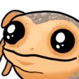 danCute danCute