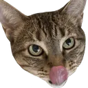 0EpicMiniBlep