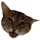 0EpicMiniYell