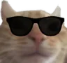 swagcool