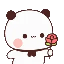 white_fool