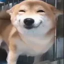 c5c8de0adadb4bcdb2ecb5b124793a32