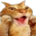 komooo