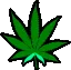 weed_highlight