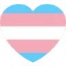 :heart_trans: