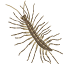 homeboy Discord emoji