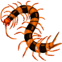 hardwickei Discord emoji