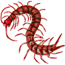 cherryred Discord emoji