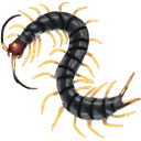 subs Discord emoji