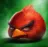 angrybird