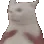 catshake