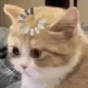 CE_Loading2 CE_Loading2