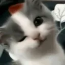 CE_Wink3 CE_Wink3