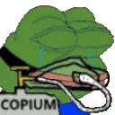 COPIUMOD