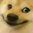 pl_Hehe_doo