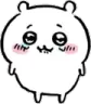 dingo