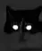LaserCat LaserCat