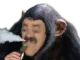 risisingevapote