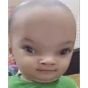 bigbrainboi
