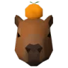 CapybaraOrangeStare
