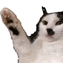 Kittyler