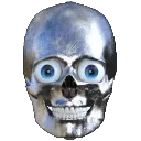 metal_skull metal_skull