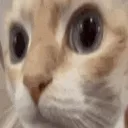 huh