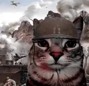 warcar