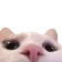 1278144922901545084
