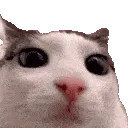 plink