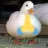duckpray