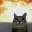 arson_cat