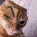 freaky_cat