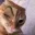 freaky_cat