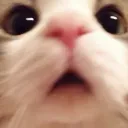 ooh