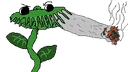flytrap