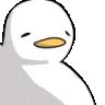 duckJam duckJam