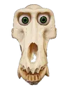 mrbones mrbones