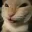 mischievous_cat