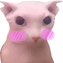 :bingusblush: